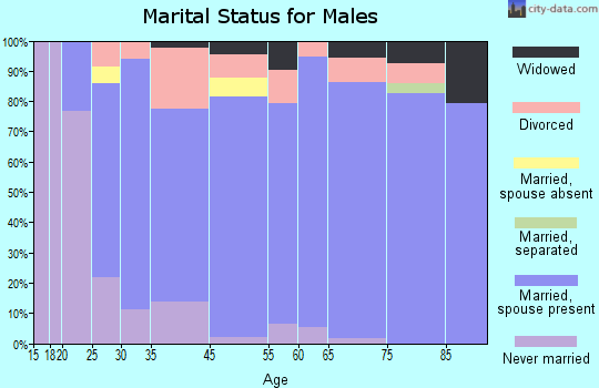 Arizona City marital status for males
