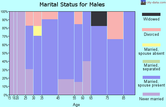 South Haven marital status for males