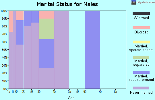 Arizona Village marital status for males