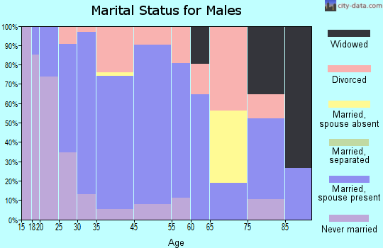 Spring Hill marital status for males