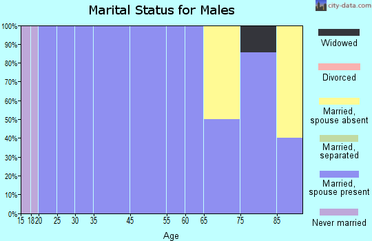 Summerfield marital status for males