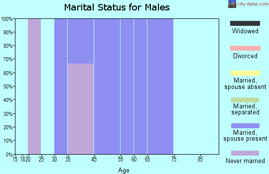 Sun City marital status for males
