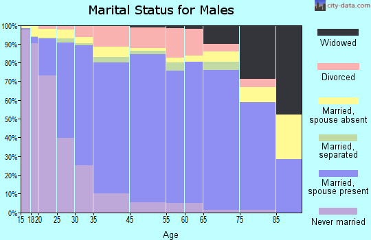 Avondale marital status for males