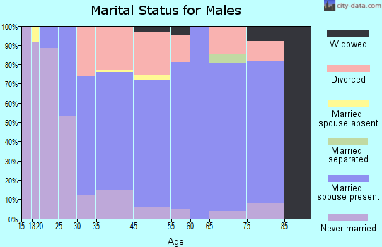 Avra Valley marital status for males