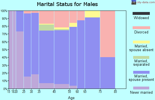 Bagdad marital status for males