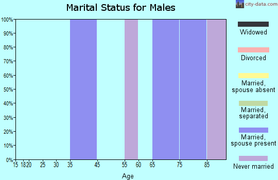 Webber marital status for males