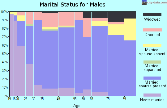 Wellington marital status for males