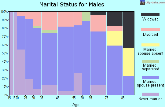 Wellsville marital status for males