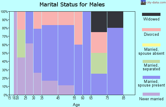 West Mineral marital status for males