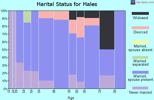 White City marital status for males
