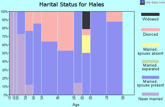 Williamsburg marital status for males