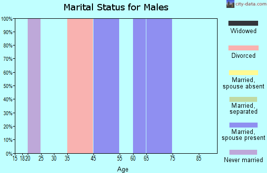Willowbrook marital status for males