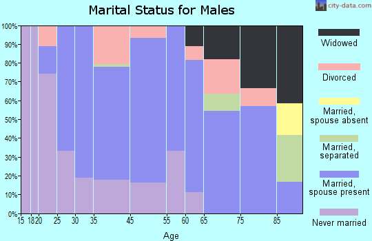 Adairville marital status for males