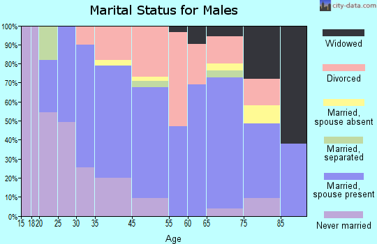 Black Canyon City marital status for males