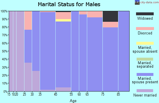 Bellefonte marital status for males