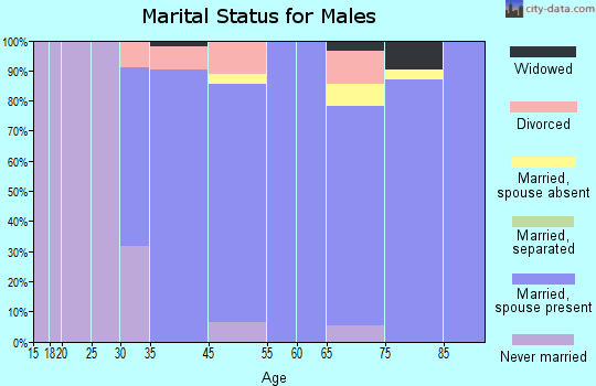 Bellemeade marital status for males