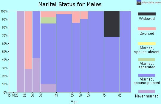 Blue Ridge Manor marital status for males