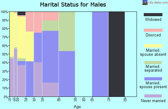Breckinridge Center marital status for males
