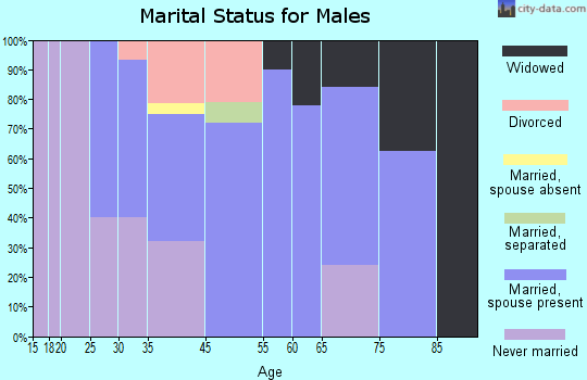 Brooksville marital status for males