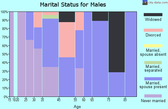 Brownsboro Village marital status for males