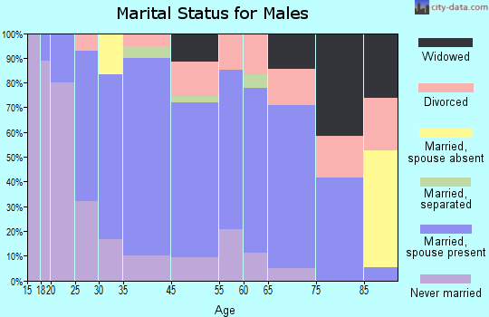 Brownsville marital status for males