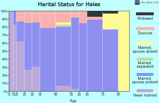 Calvert City marital status for males