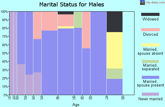 Coal Run Village marital status for males