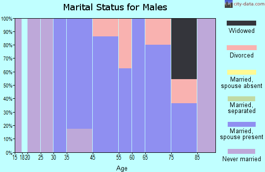 Druid Hills marital status for males