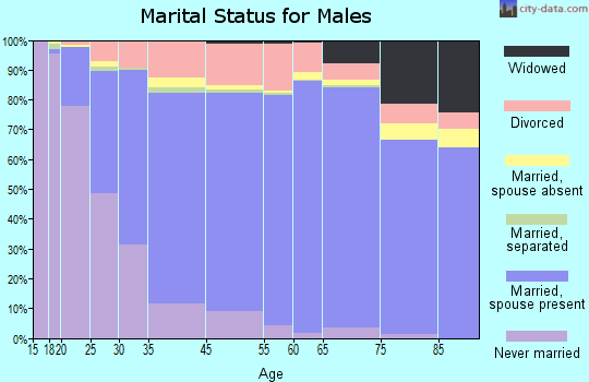 Casas Adobes marital status for males