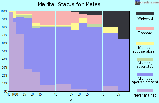 Georgetown marital status for males