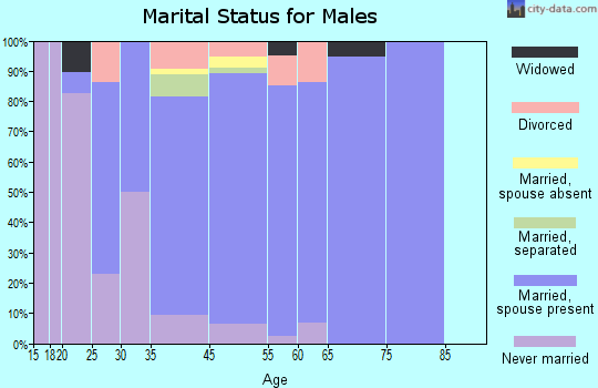 Hebron Estates marital status for males