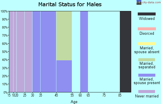 Chilchinbito marital status for males
