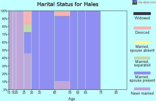Hunters Hollow marital status for males