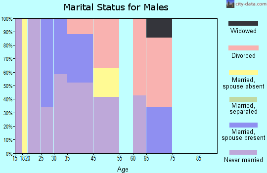 Cibecue marital status for males