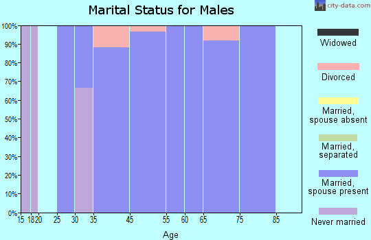 Lakeview Heights marital status for males