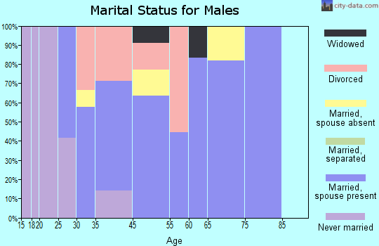 McHenry marital status for males