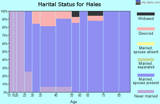 Meadow Vale marital status for males