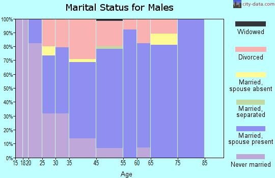 Minor Lane Heights marital status for males