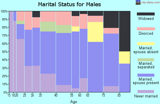 Mount Vernon marital status for males