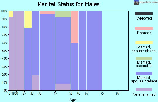 Park Lake marital status for males