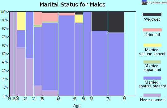 Pioneer Village marital status for males