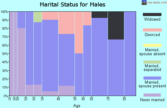 Plum Springs marital status for males