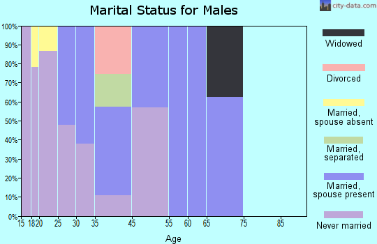 Dennehotso marital status for males