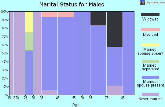 St. Regis Park marital status for males