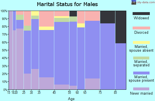 Scottsville marital status for males