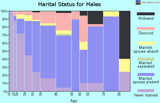 Shelbyville marital status for males