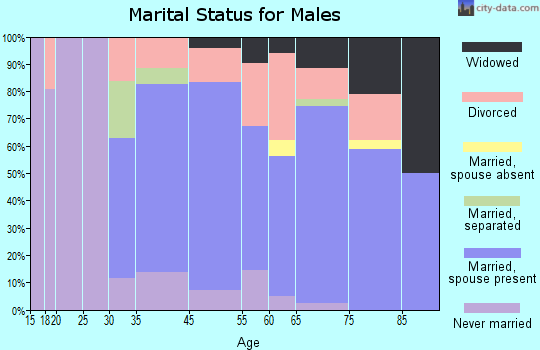 Dolan Springs marital status for males