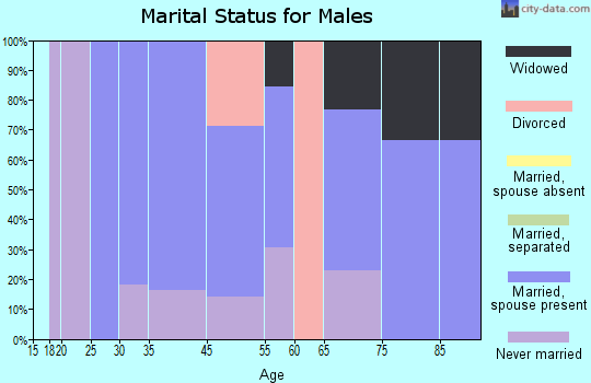 Springlee marital status for males