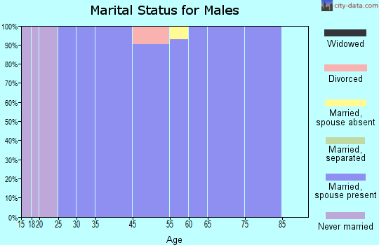 Spring Mill marital status for males