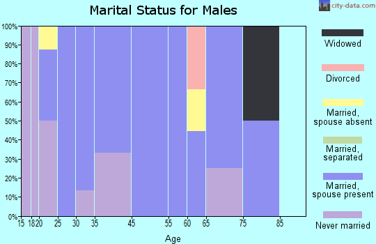 Wayland marital status for males